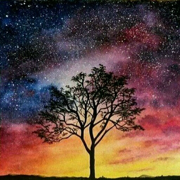 Meet your Posher, Tyler - Picture 1 of 1